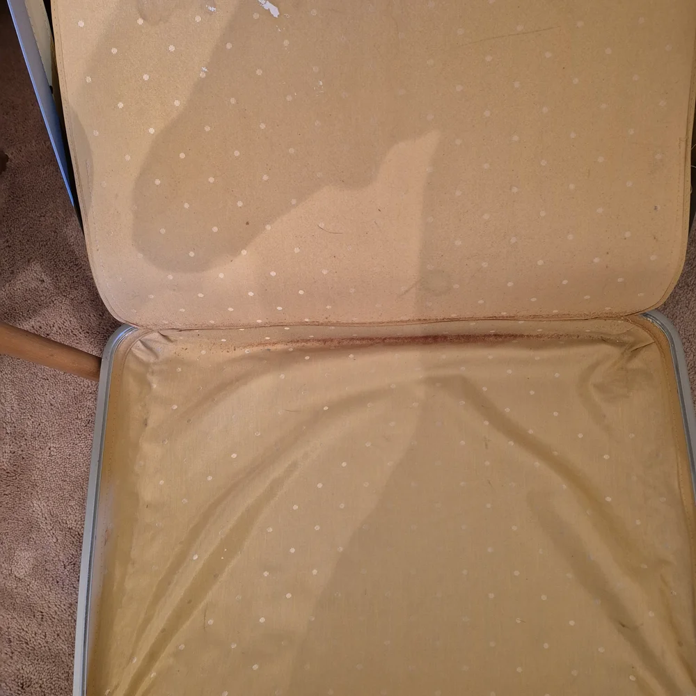Samsonite Yellow Vintage Garment Suitcase